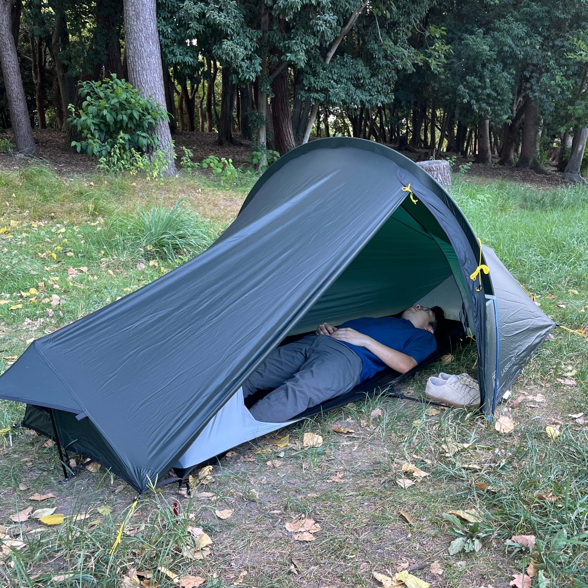Terra Nova | Laser Lite 1 | 山道具と喫茶 Eightdoor