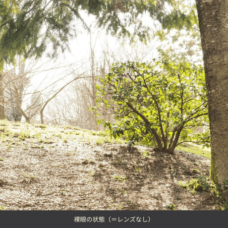 Niho | ボストン LIGHT GREY × LIGHT GRAY (NH-103 COL.3)