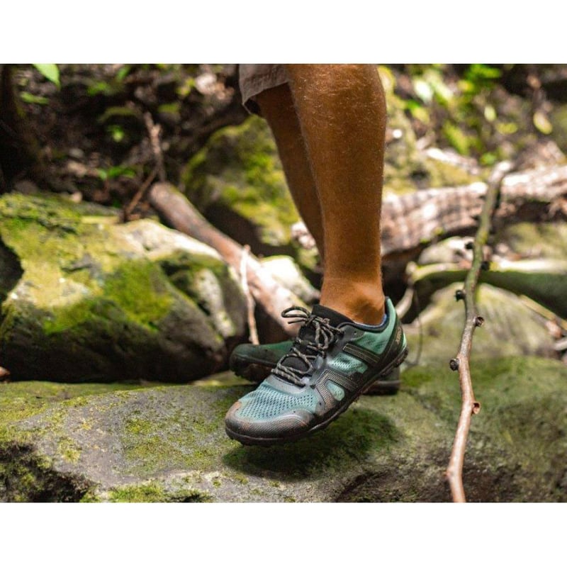 XEROSHOES | M's MesaTrail Ⅱ (メサトレイルⅡ) | 山道具と喫茶