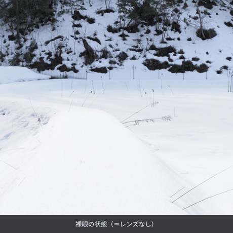 Niho | ボストン LIGHT GREY × LIGHT GRAY (NH-103 COL.3)