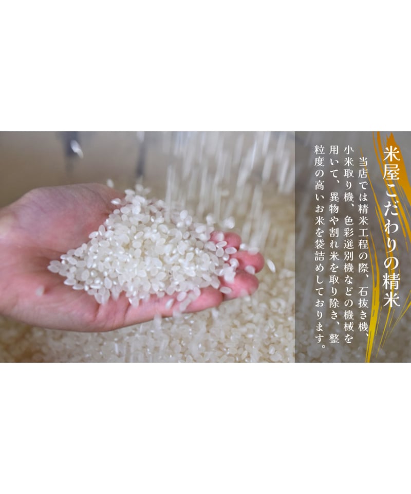 なつほのか 5キロ入 精米】【大分県玖珠産】【令和7年産】 【五ッ星
