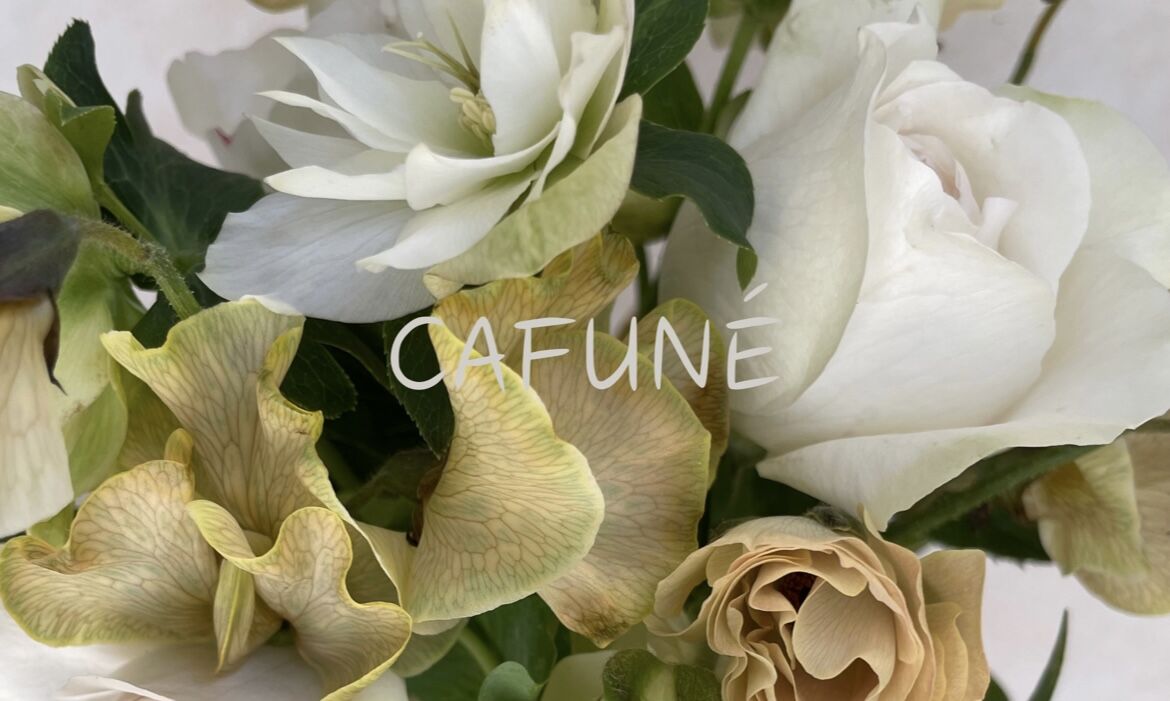 CAFUNÉ