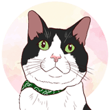 MoMo色の、そら。／Handmade Cat Goods