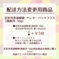 レターパックプラス　60枚［枚数量変更可能］ 配送方法変更商品／レターパックライト→ゆうパック60サイズ