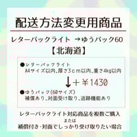 配送方法変更商品／レターパックライト→ゆうパック60サイズ