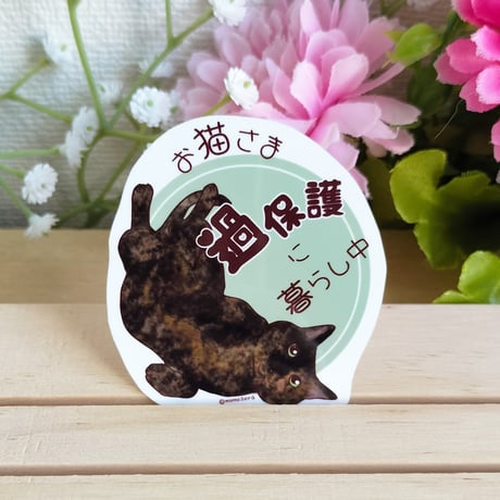 キジトラ猫 | STORES