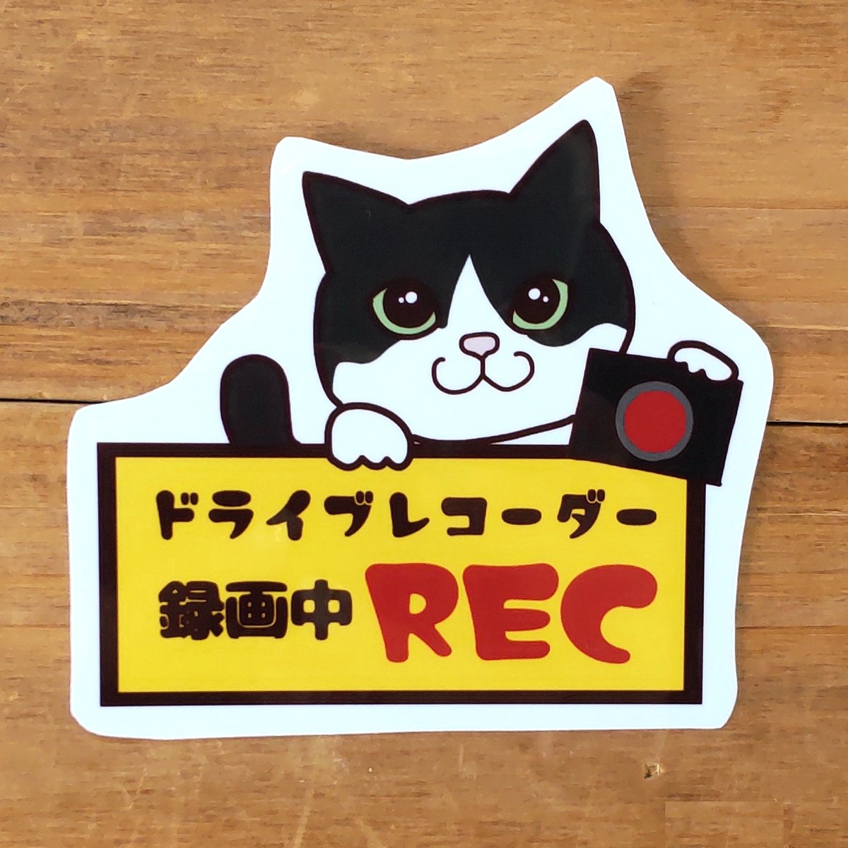 ネコステッカー＊「ドライブレコーダー録画中」(ハチワレ) | MoMo色の 