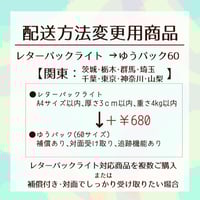 配送方法変更商品／レターパックライト→ゆうパック60サイズ