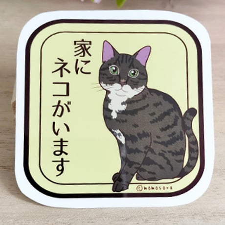 キジトラ猫 | STORES