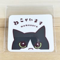 羊毛ネコ＊おすわりポーズキーホルダー(ハチワレ) | MoMo色の、そら