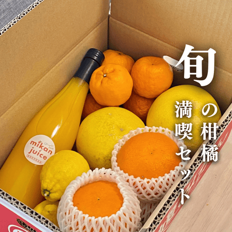 みかん　より味が濃い　ぽんかん　　77 楽天市場】【お歳暮 ギフト】愛媛県 JAにしうわ 川上共選 最高等級