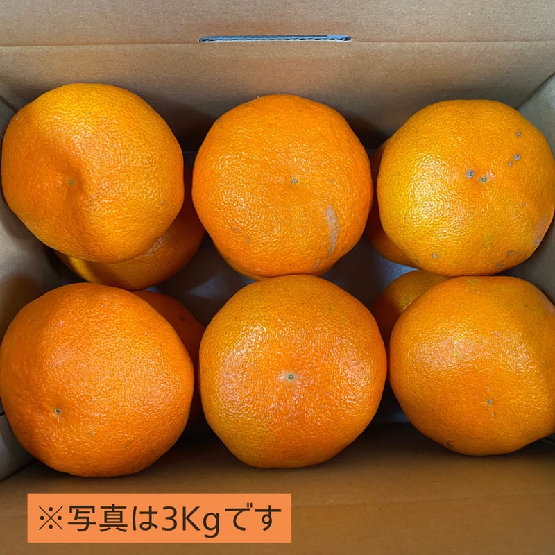 家庭用】甘平 3kg・5kg | kazairo Web shop