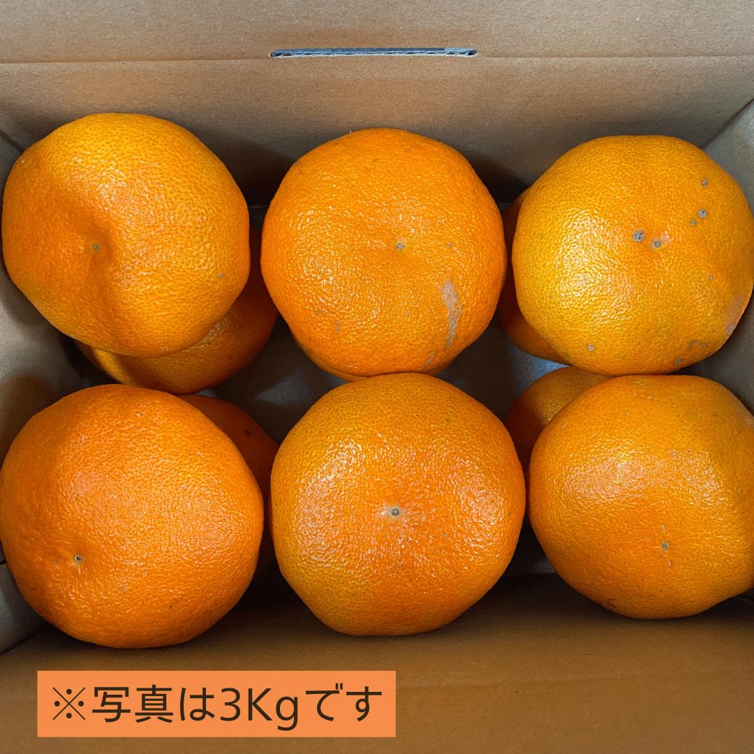 甘平 甘平　5kg箱　#3 5kg箱（3L約15〜16玉入） 東商店・岡山の青果店 | 果物