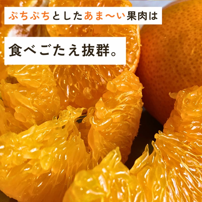 甘平 甘平 約7kg-贈答用 | のま果樹園