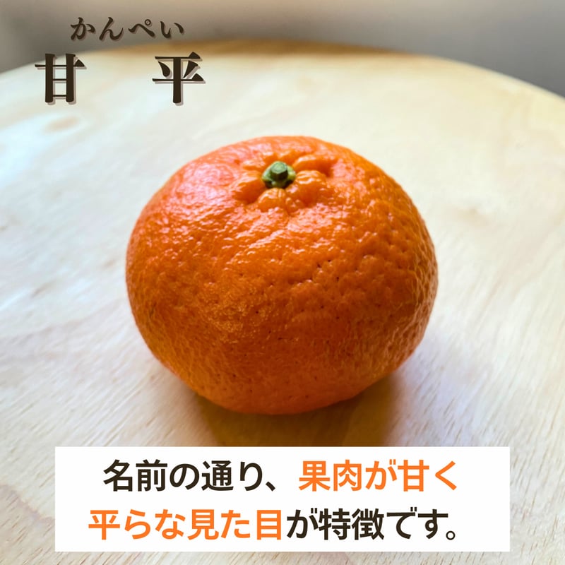 家庭用】甘平 3kg・5kg | kazairo Web shop