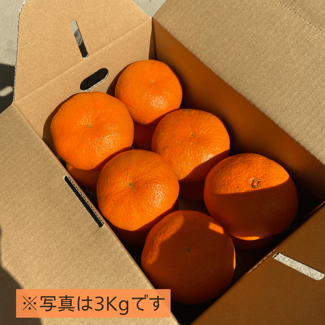 家庭用】甘平 3kg・5kg | kazairo Web shop