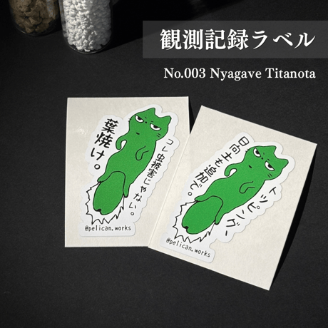 鋸歯生物 観測記録ラベル No.004 にゃがべチタノタ