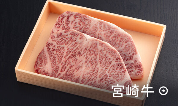 おにく商品 タカギ 洗濯機蛇口用ニップルセット GWA4411(販売終了) | 散水