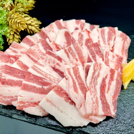 宮崎ブランドポーク バラ焼肉用500g