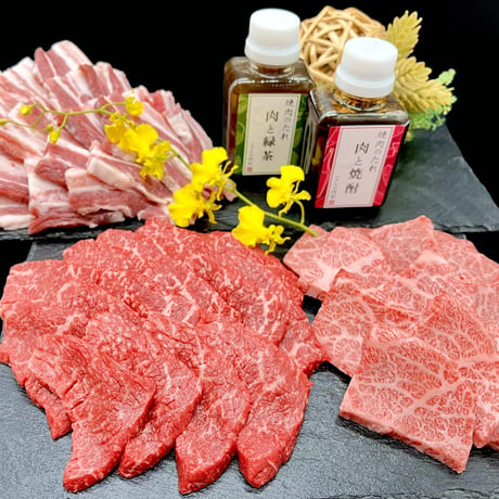 【A5ランク】都城産宮崎牛 霜降り×赤身＆宮崎ブランドポーク焼肉用