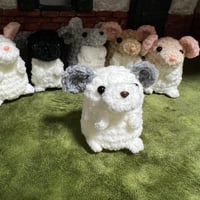 ぷチラぬい【パイド】