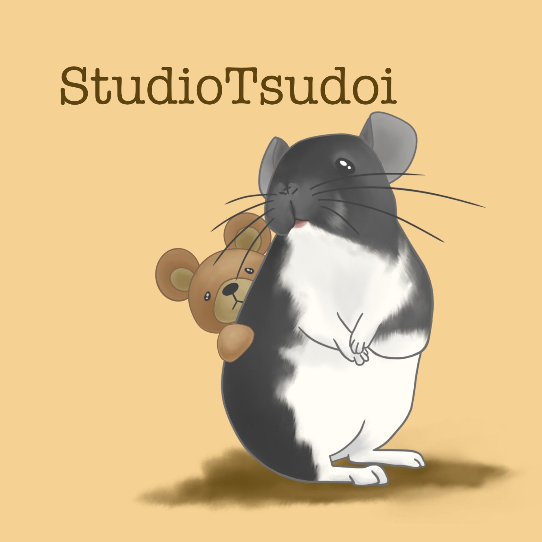 studioT