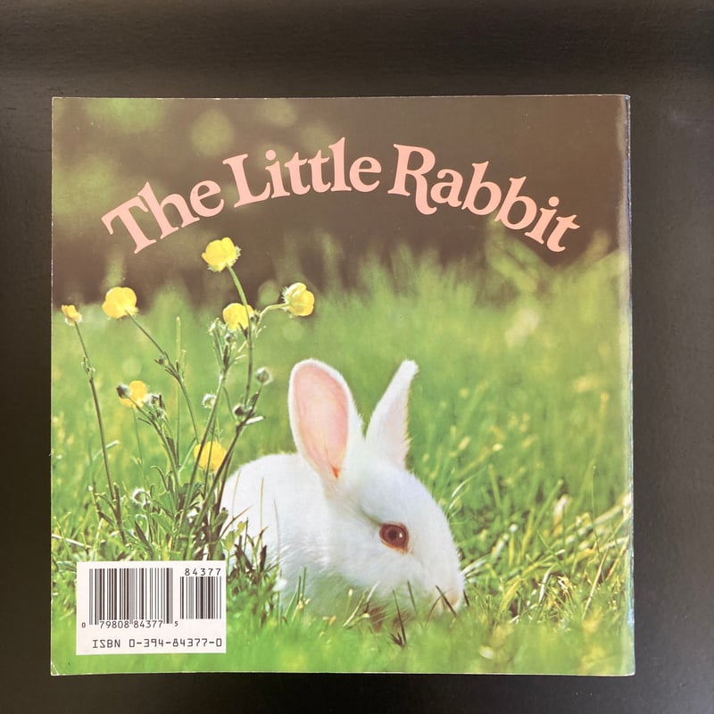 白うさぎの写真絵本「The Little Rabbit 」 キュート！ | 書古四角