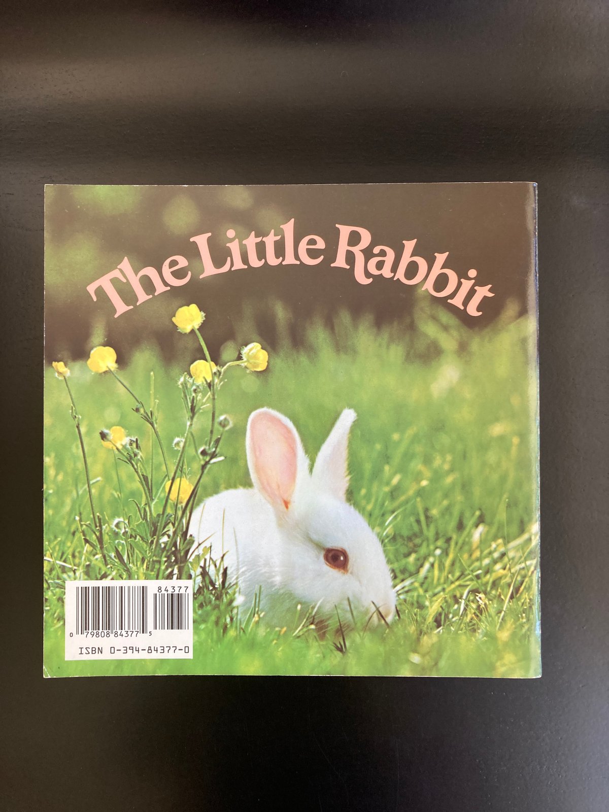 白うさぎの写真絵本「The Little Rabbit 」 キュート！ | 書古四角