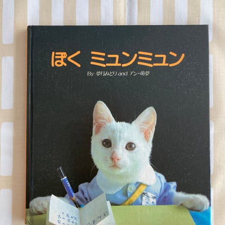 猫本 | STORES