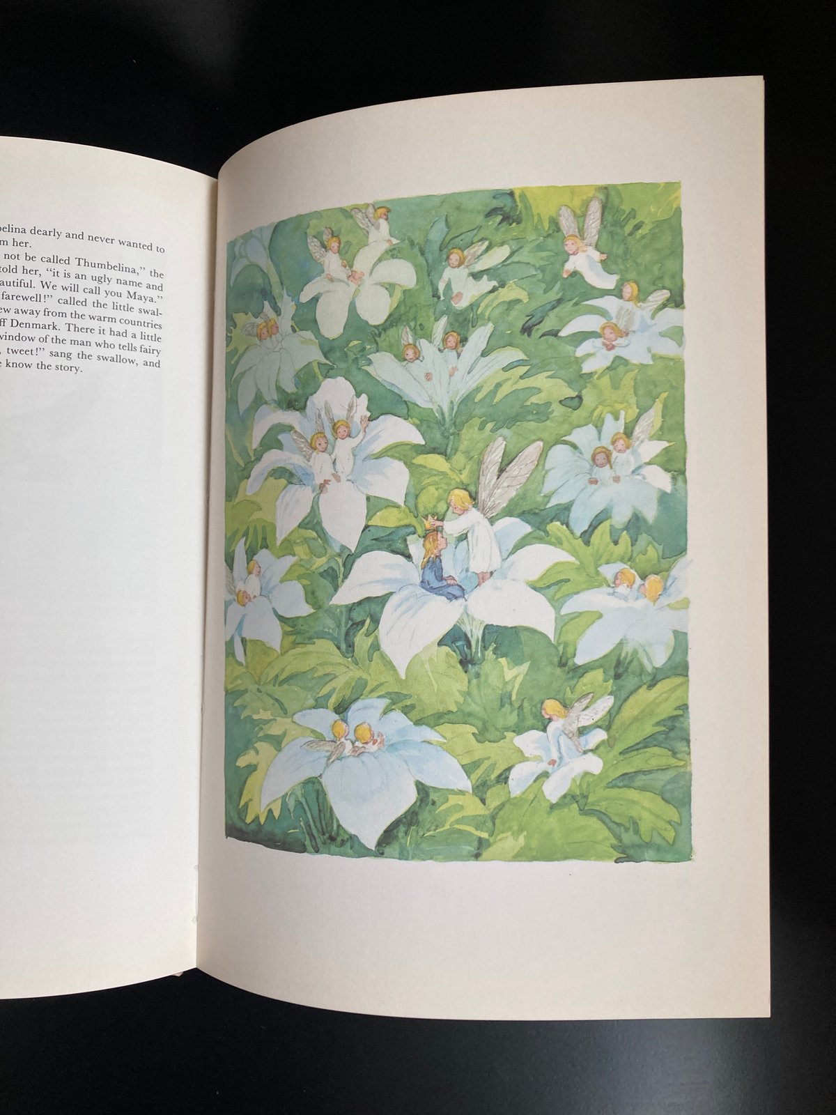 HANS ANDERSEN'S FAIRY TALES アンデルセン童話集 スベン・オットー「Hans Andersen Fairytales」アンデルセン童話集