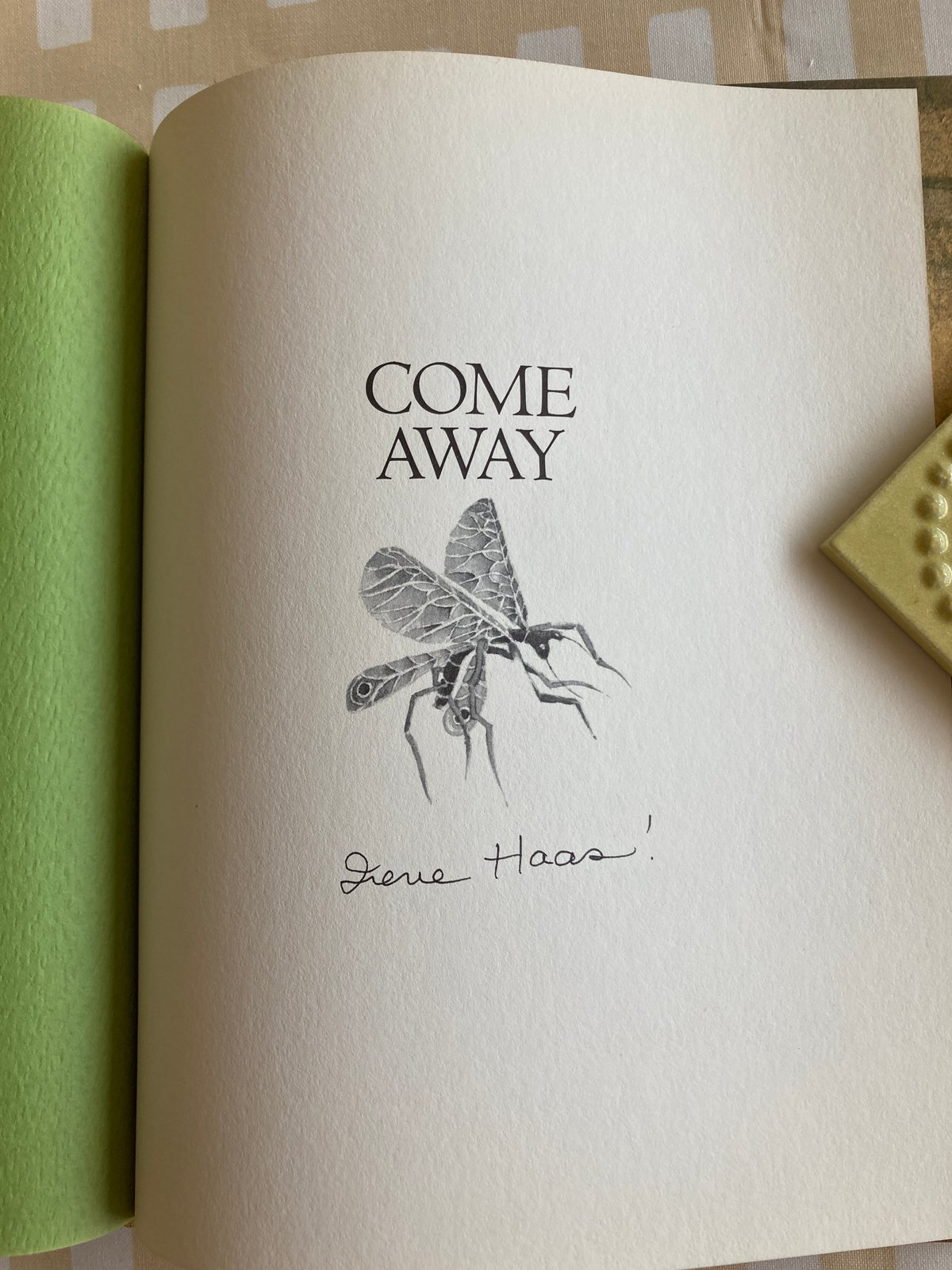 絵本COME AWAY  Irene Haas:絵 絵本COME AWAY Irene Haas:絵 - メルカリ