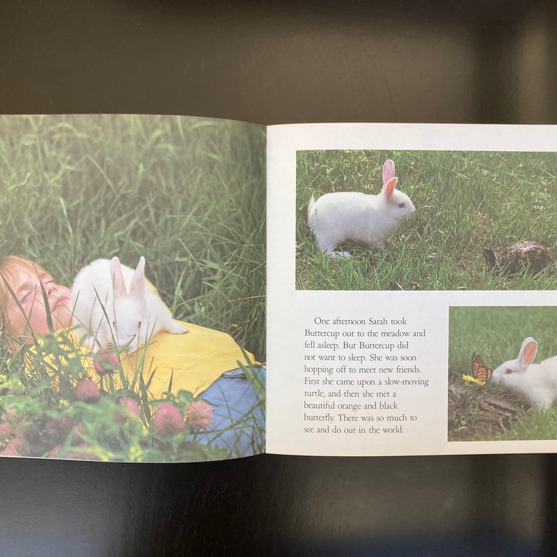 白うさぎの写真絵本「The Little Rabbit 」 キュート！ | 書古四角