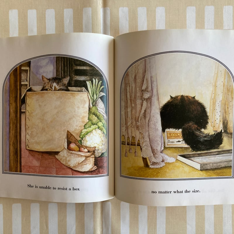 ☆猫△ルース・ブラウン「OUR CAT FLOSSIE」 ねこ ネコ 洋書絵本 英語