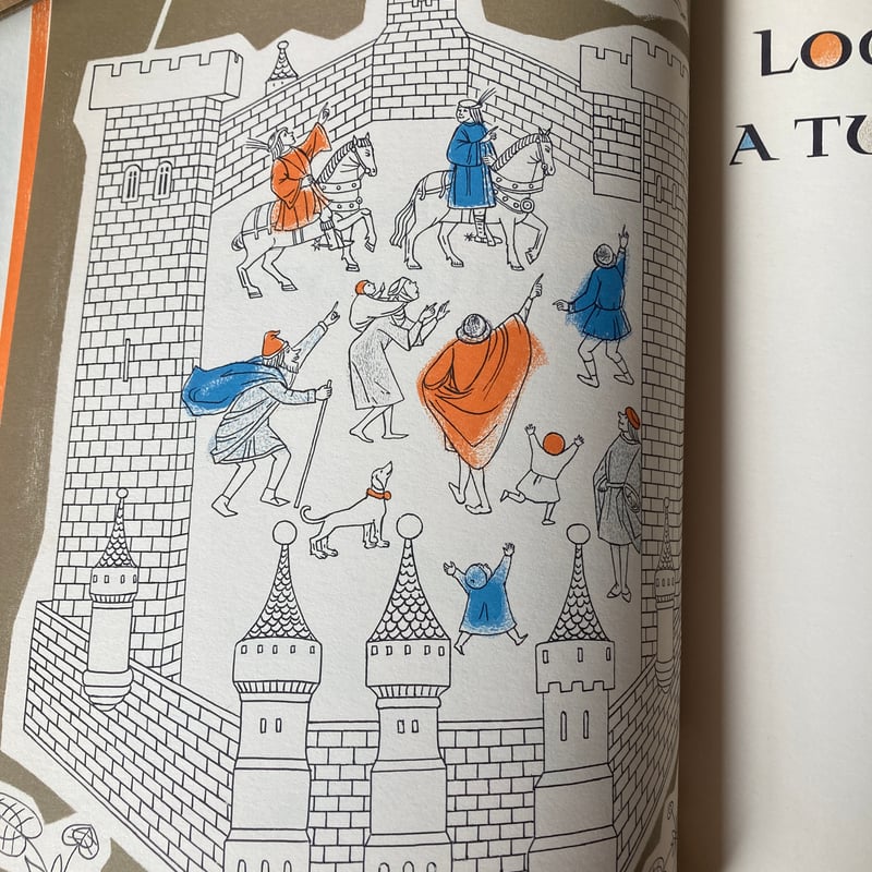 ジャニナ・ドマンスカ「LOOK,THERE IS A TURTLE FLYING」 古書 ビン
