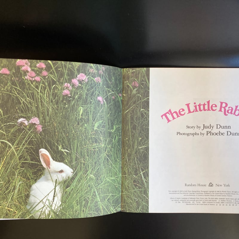 白うさぎの写真絵本「The Little Rabbit 」 キュート！ | 書古四角