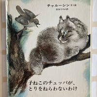 △猫△ コルプス先生とこたつねこ | 書古四角