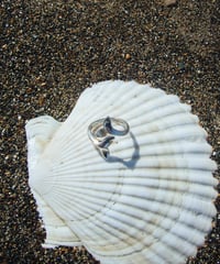 fin ring