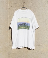 Horse with sunset 99 Tee