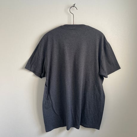 "JURASSIC WORLD" gray Tshirt