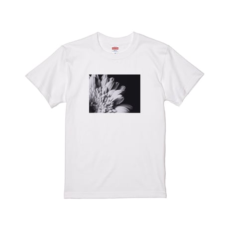 Re:vius Management / 佐藤亜梨沙 │ Arisa Sato❀·̩͙ - S/S Tee,L/S Tee,ToteBag