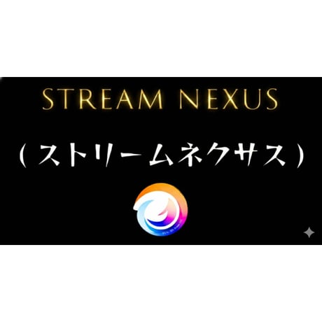 Re:vius Management / Stream Nexus (ストリームネクサス) - S/S Tee,L/S Tee,ToteBag