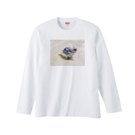 Re:vius Management / sheeeeeepchan-L/S Tee