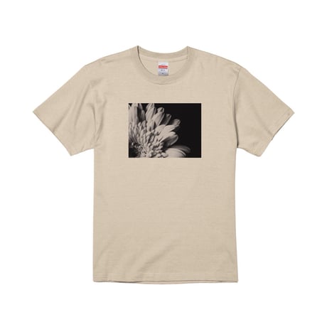 Re:vius Management / 佐藤亜梨沙 │ Arisa Sato❀·̩͙ - S/S Tee,L/S Tee,ToteBag