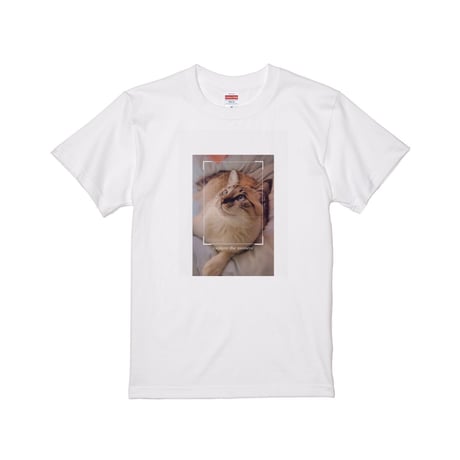 Re:vius Management / sharon - S/S Tee
