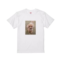 Re:vius Management / アンナ - S/S Tee,Sweat,ToteBag
