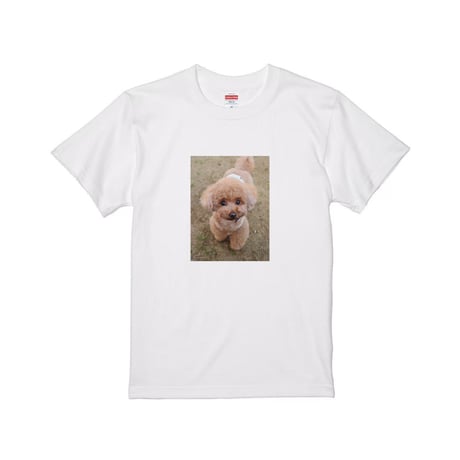 Re:vius Management / アンナ - S/S Tee,Sweat,ToteBag