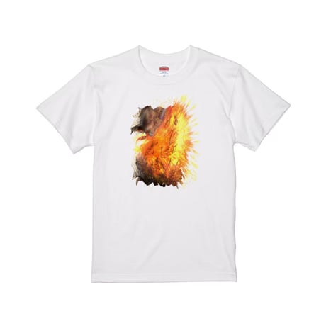 Re:vius Management / 『shout music』弍奈氏縁雅illustration - S/S Tee
