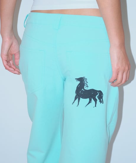AVANTFLOW LOOSE PANTS /2color