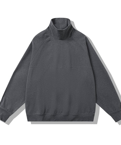 HIGH COLLAR VELVET SWEAT /5color