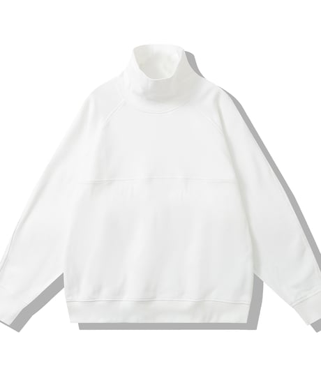 HIGH COLLAR VELVET SWEAT /5color